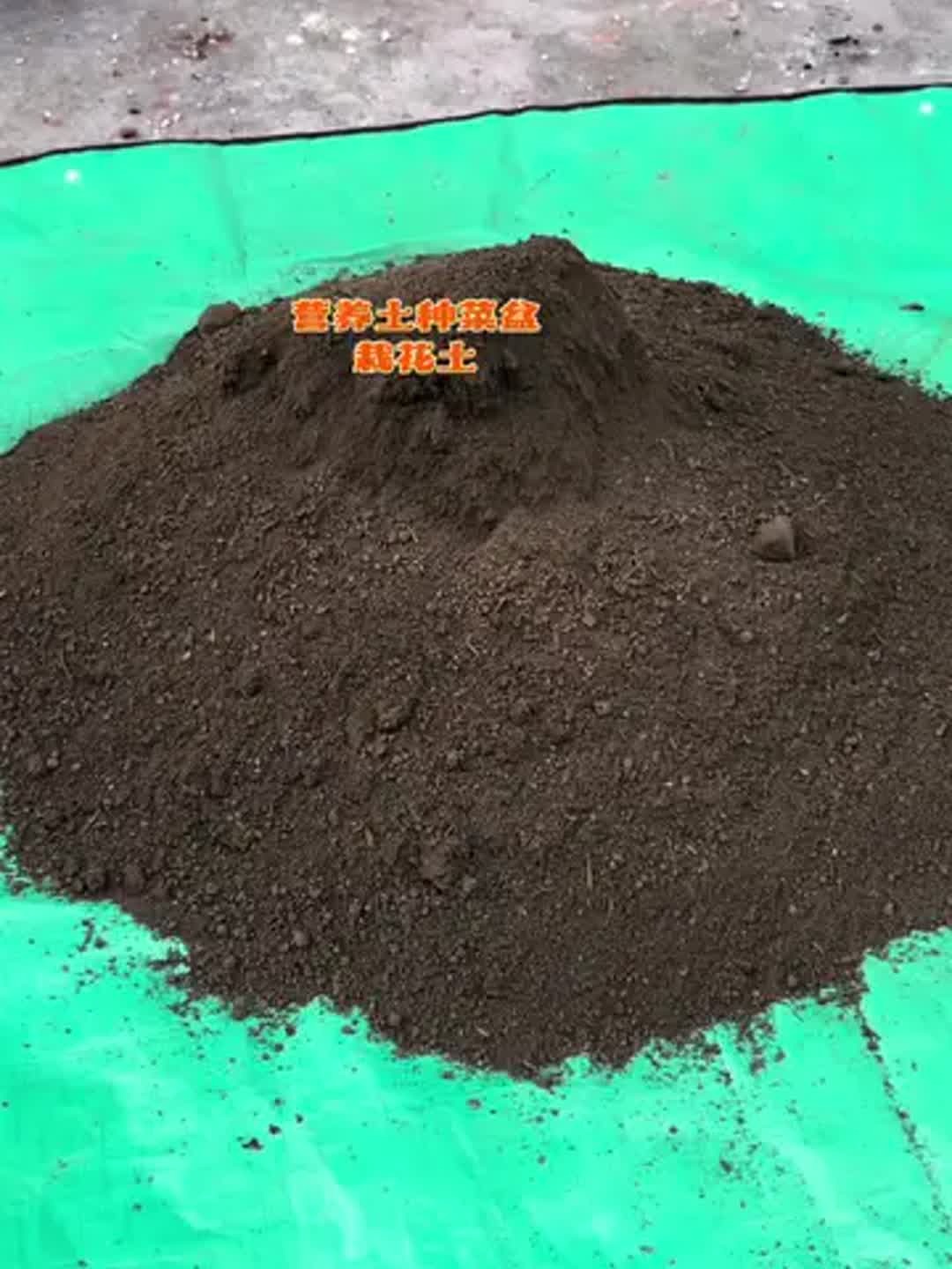 秋播正当时 营养土助力菜园花圃焕发生机