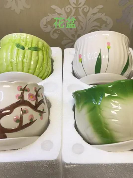 厂家清仓多肉花盆，花园角落的性价比宝藏